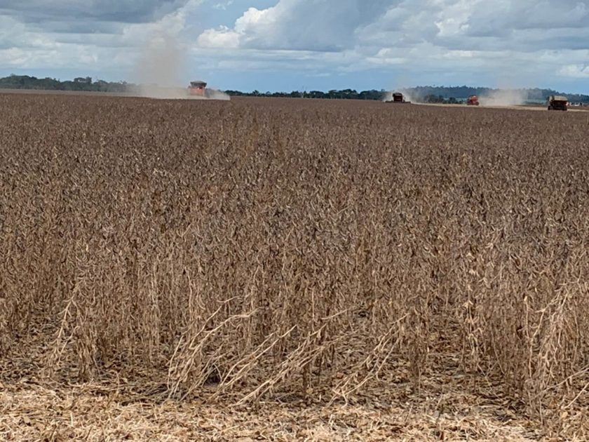 Conheça Rondônia que pela 1ª vez fará a Abertura Nacional do Plantio